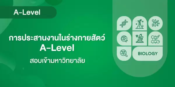 การประสานงานในร่างกายสัตว์ A-Level