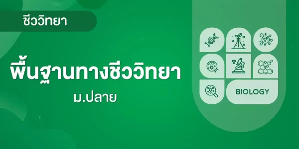 พื้นฐานทางชีววิทยา