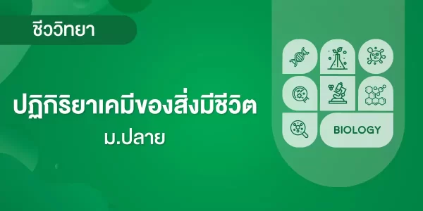 ปฏิกิริยาเคมีของสิ่งมีชีวิต