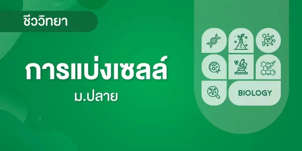 การแบ่งเซลล์