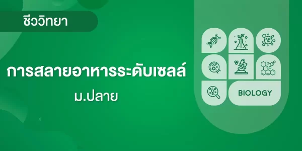 การสลายอาหารระดับเซลล์
