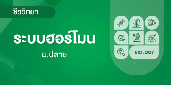 ระบบฮอร์โมน