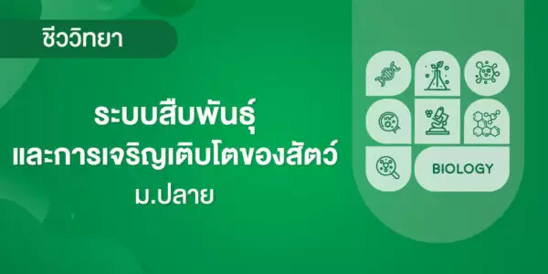 ระบบสืบพันธุ์และการเจริญเติบโตของสัตว์