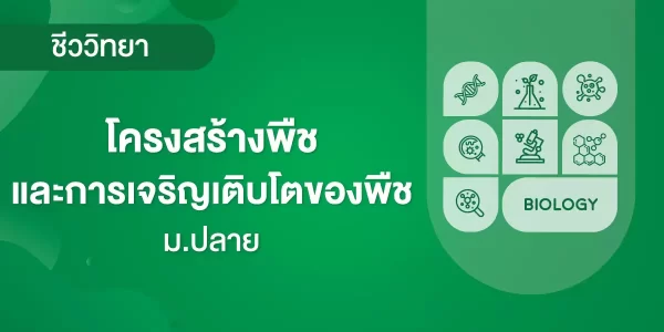 โครงสร้างพืช และการเจริญเติบโตของพืช