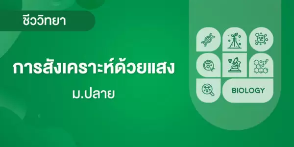 การสังเคราะห์ด้วยแสง