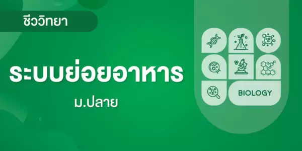 ระบบย่อยอาหาร