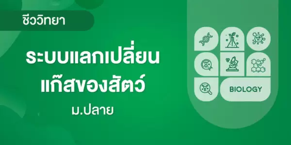 ระบบแลกเปลี่ยนแก๊สของสัตว์