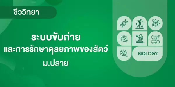 ระบบขับถ่าย และการรักษาดุลยภาพของสัตว์